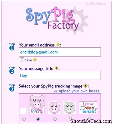 Spypig