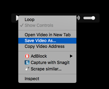 Right click save video as
